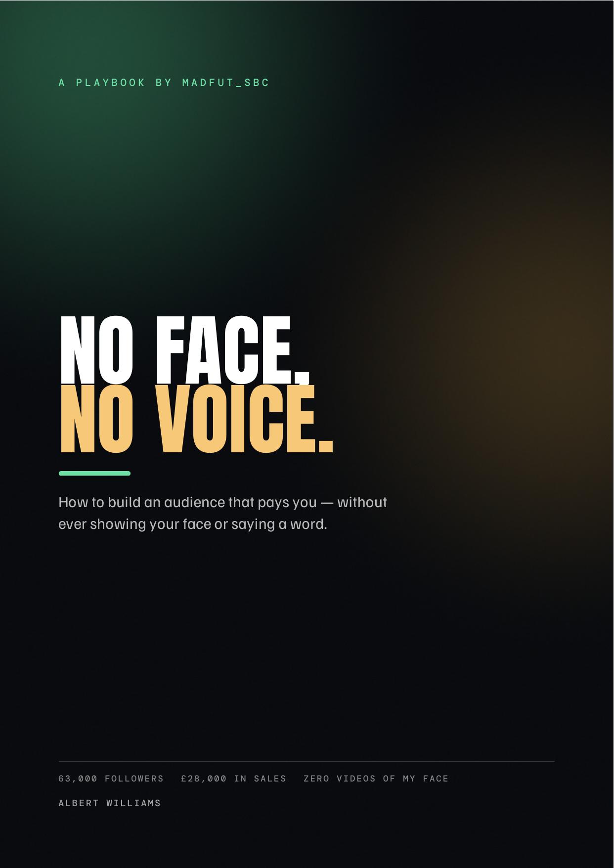 Cover of the No Face, No Voice playbook